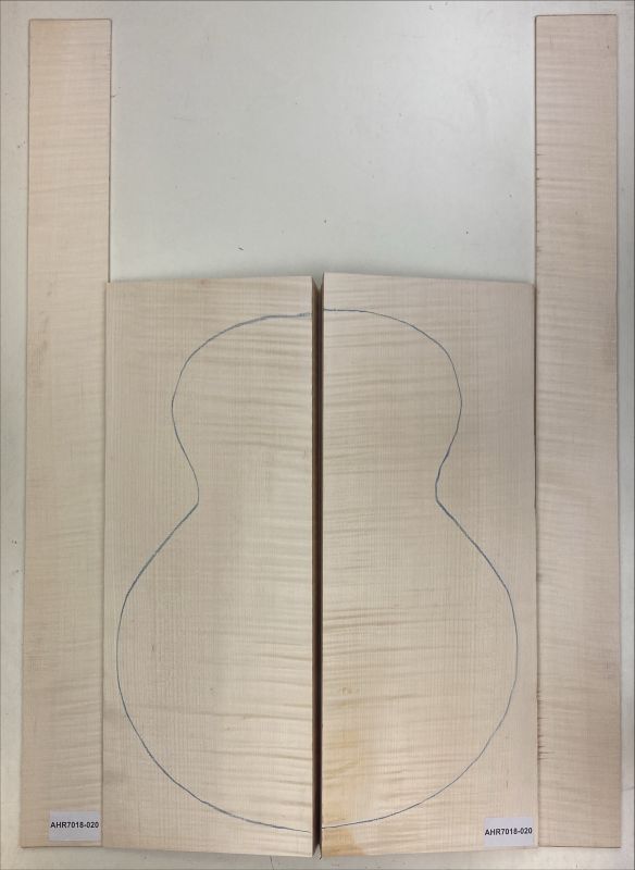 Boden & Zargen Ahorn, europ. Archtop Einzelstück #020